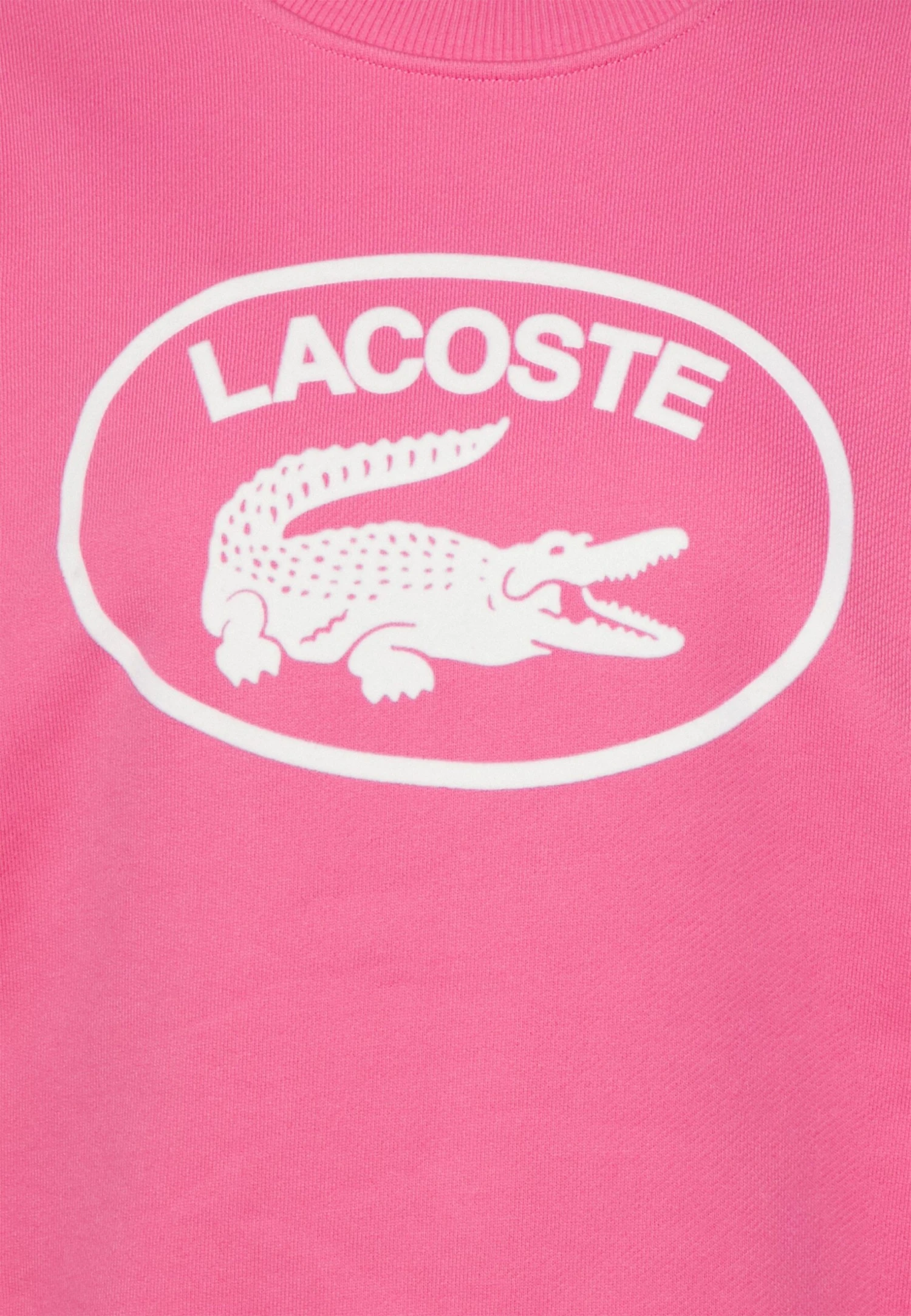 Lacoste Sweater - Reseda/Pink 5 Lacoste Sweater - Reseda/Pink - Afbeelding 5