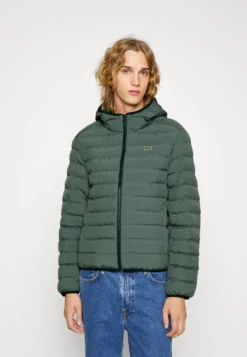 Lacoste Winterjas - Vert