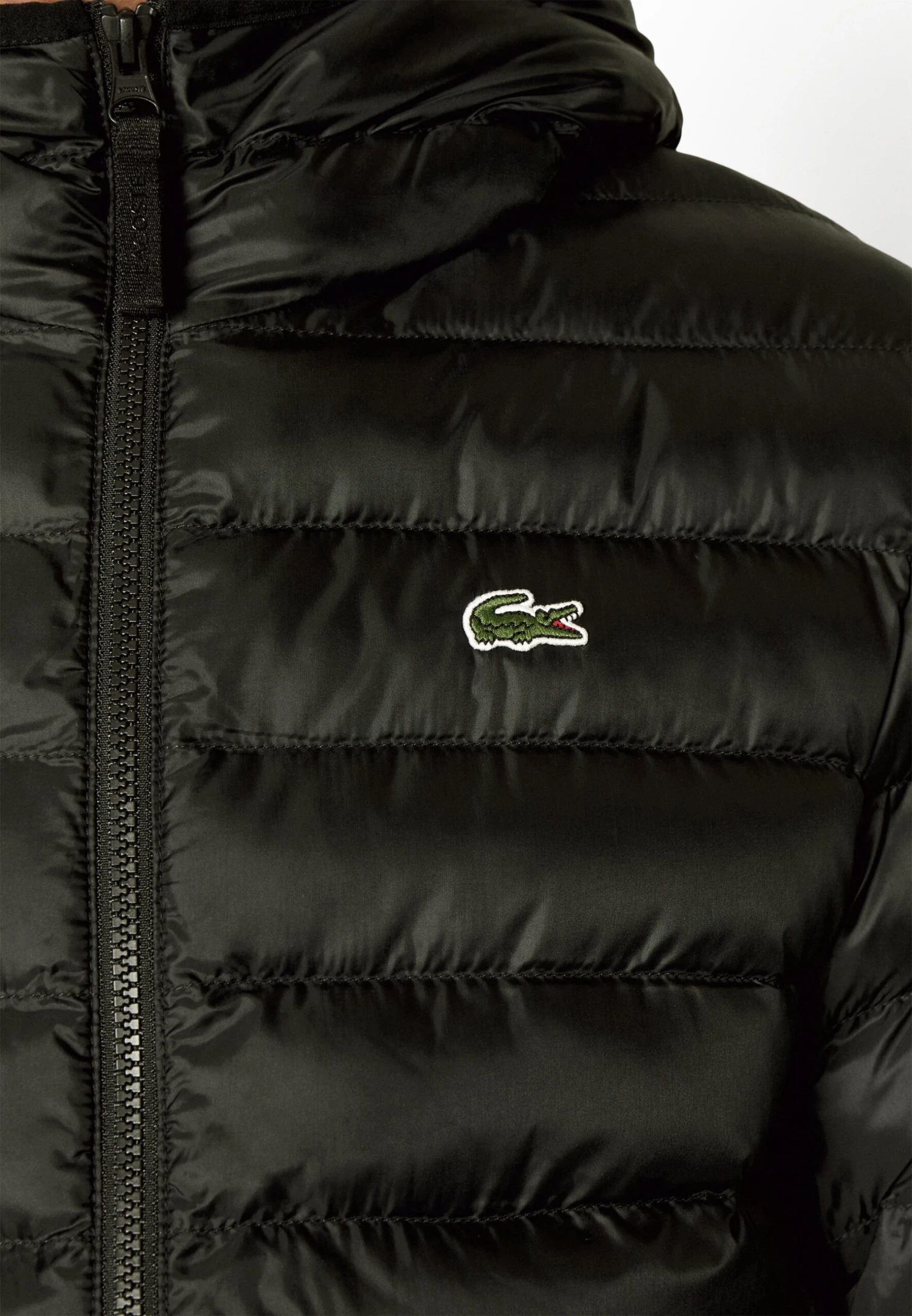 Lacoste Winterjas - Noir 6 Lacoste Winterjas - Noir - Afbeelding 6