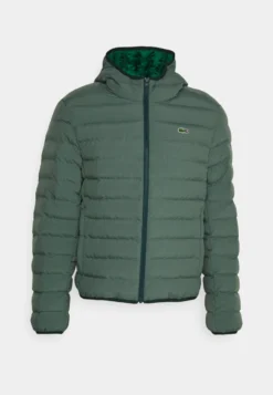 Lacoste Winterjas - Vert -Lacoste 5dd5d9d901884b889852a23f393d1b94 scaled