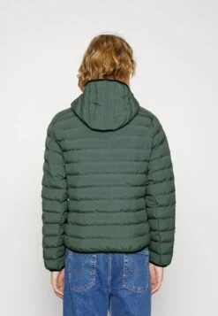 Lacoste Winterjas - Vert -Lacoste cf8b8fcfce114b8f98b0286c95aab597