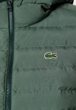 Lacoste Winterjas - Vert -Lacoste f140a3f58f56490bbda0bb052406e763