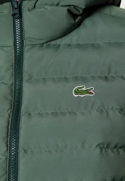 Lacoste Winterjas - Vert -Lacoste f140a3f58f56490bbda0bb052406e763 scaled